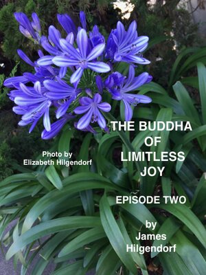 cover image of The Buddha of Limitless Joy